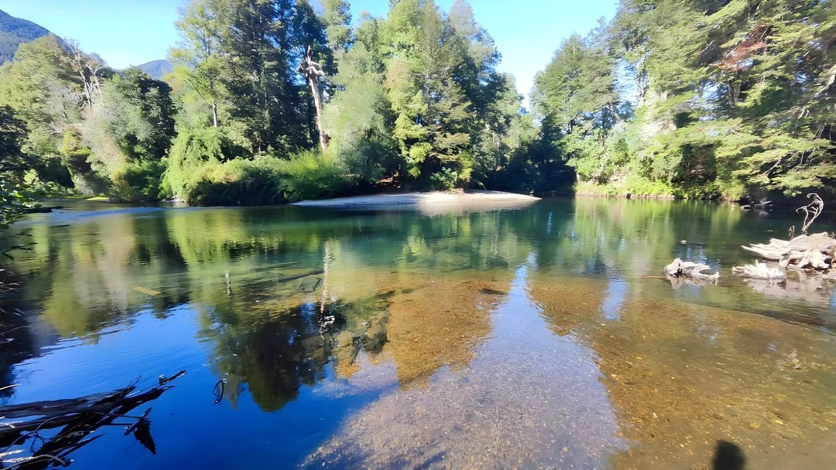 Río Liucura de aguas cristalinas con fondo de piedras y bosque reflejado